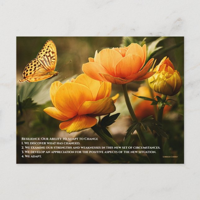 Resilience Postcard (Front)