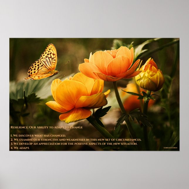 Resilience Poster (Front)