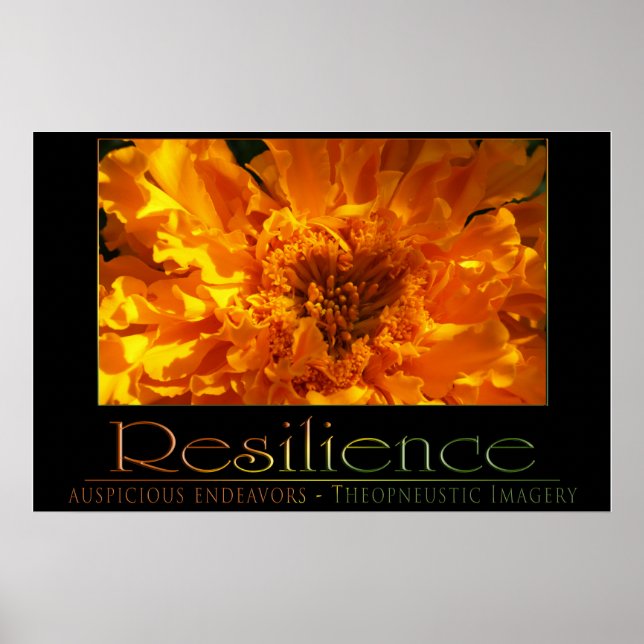 Resilience Poster (Front)