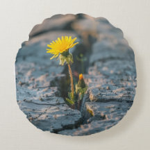 Resilient Dandelion Pillow on Cozy Faux Fur