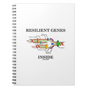 Resilient Genes Inside (DNA Replication) Notebook