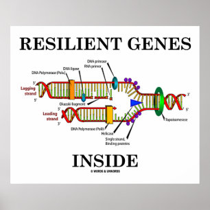 Resilient Genes Inside (DNA Replication) Poster