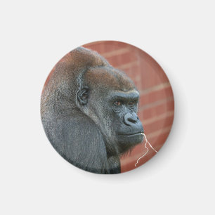 Resilient Gorilla Mother Magnet