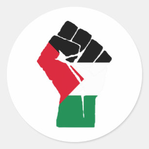 Resist Fist Palestinian Flag - Free Palestine 1  Classic Round Sticker