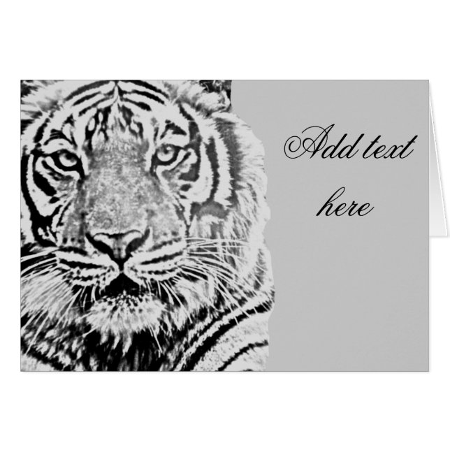 résistance du tigre_ (Devant Horizontal)