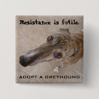 Resistance is futile. 2 inch square button