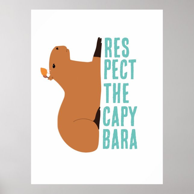 Respect the capybara poster (Front)