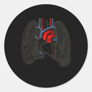Respiratory Therapist Lung Nerd Fun Rt Classic Round Sticker