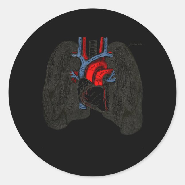Respiratory Therapist Lung Nerd Fun Rt Classic Round Sticker (Front)