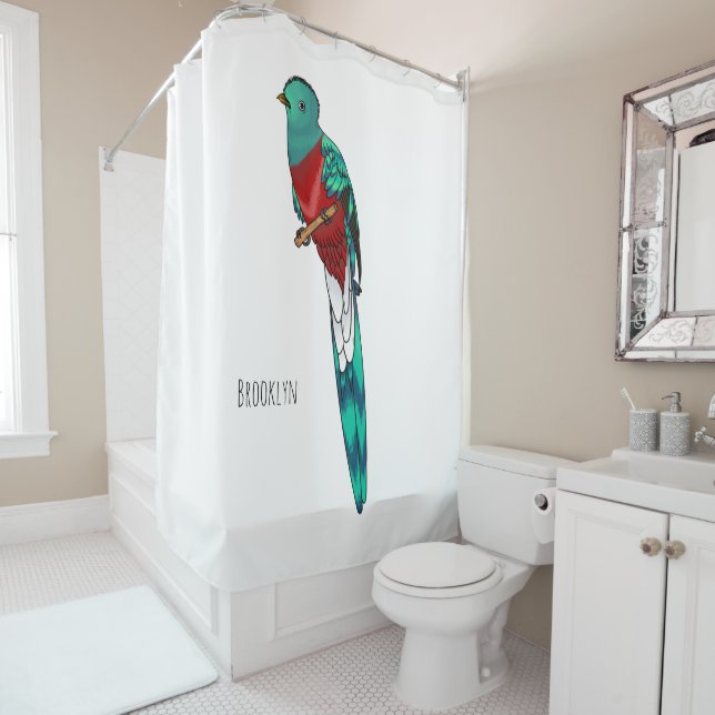 Resplendent quetzal bird cartoon illustration  (In Situ)