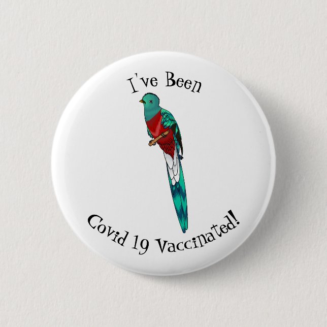 Resplendent quetzal bird cartoon illustration  2 inch round button (Front)