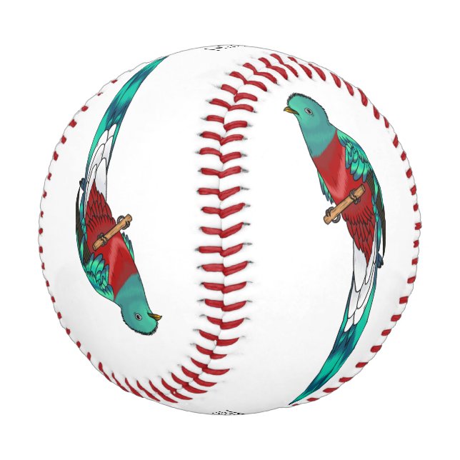 Resplendent quetzal bird cartoon illustration baseball (Angled)