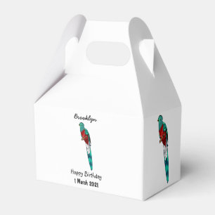 Resplendent quetzal bird cartoon illustration favor box