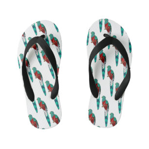 Resplendent quetzal bird cartoon illustration  kid's flip flops