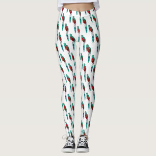 Resplendent quetzal bird cartoon illustration  leggings