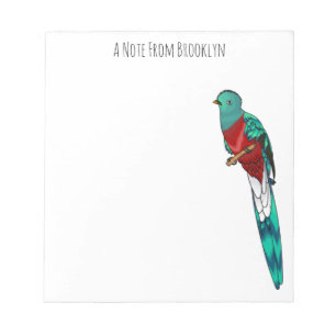 Resplendent quetzal bird cartoon illustration notepad