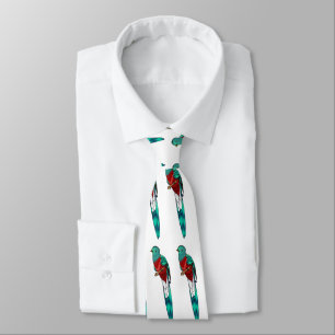 Resplendent quetzal bird cartoon illustration  tie