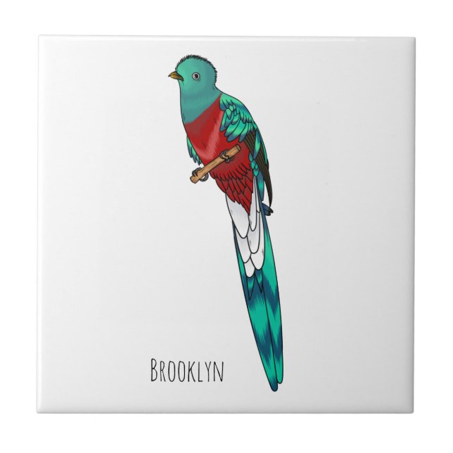 Resplendent quetzal bird cartoon illustration  tile (Front)