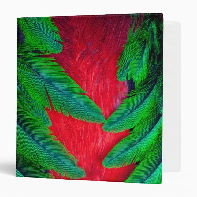 Resplendent Quetzal feather design Binder (Front/Inside)