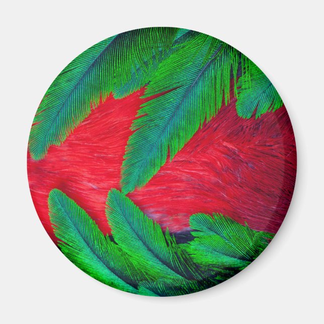 Resplendent Quetzal feather design Magnet (Front)
