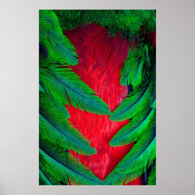 Resplendent Quetzal feather design Poster (Front)