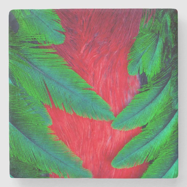 Resplendent Quetzal feather design Stone Coaster (Front)