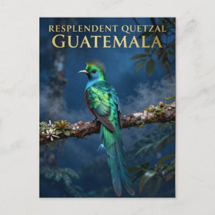 🐦 Resplendent Quetzal Guatemala Cloud Forest Postcard