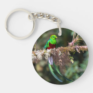 Resplendent Quetzal in the Cloud Forest Keychain