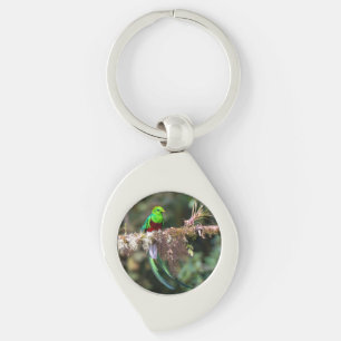 Resplendent Quetzal in the Cloud Forest Keychain