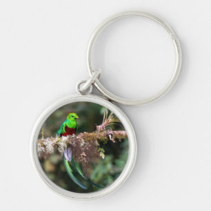 Resplendent Quetzal in the Cloud Forest Keychain