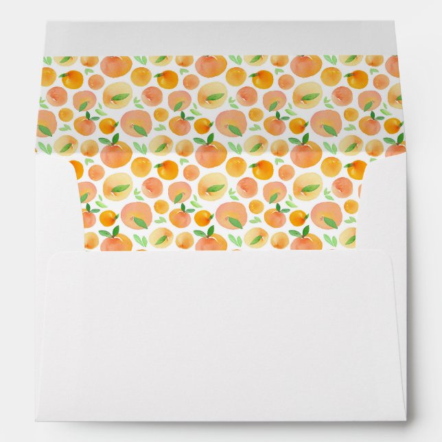 Ressort Aquarelle Passe Enveloppes Motifs (Dos (Bas))
