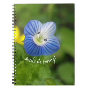 ressort bleu - carnet