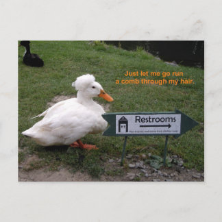 Rest Room Duck Postcard