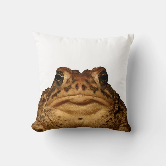 Rest with a toad! throw pillow (Front)