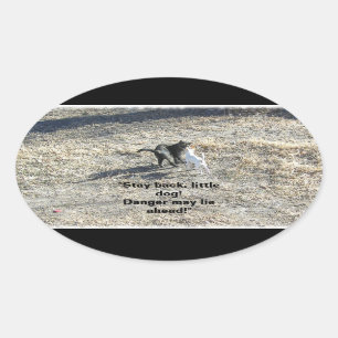 Restez à l'arrière Stickers Petit Chien