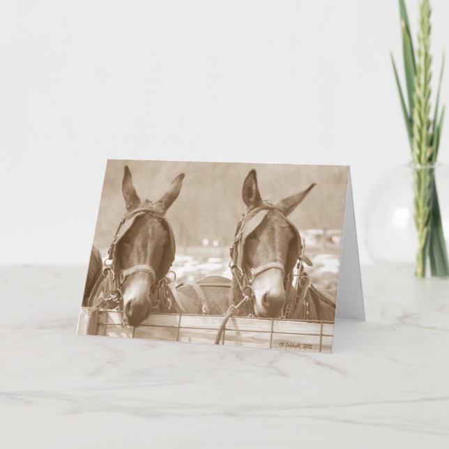 Restin' Easy Card (Front)