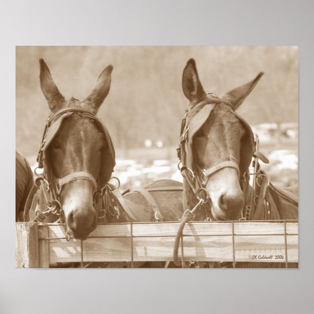 Restin' Easy Poster (Front)