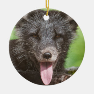 Resting Arctic Fox Ceramic Ornament