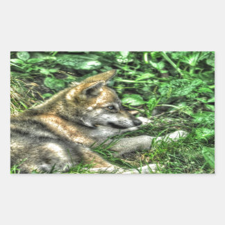 Resting Baby Wolf Pup Wildlife Photo Sticker