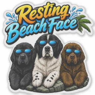Resting beach face