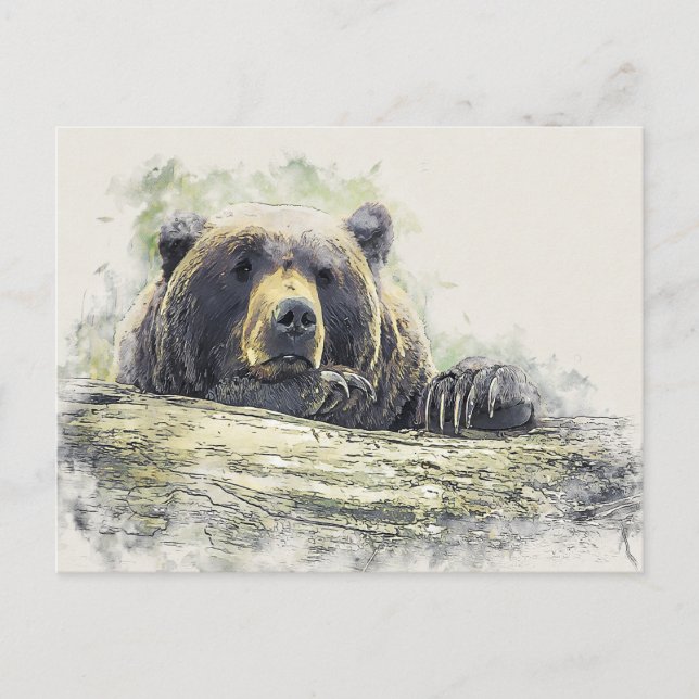 Resting Bear Watercolor Illustration Postcard (Front)