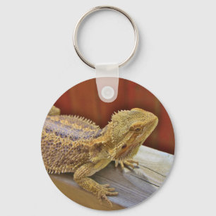 Resting Bearded Dragon 2 Keychain