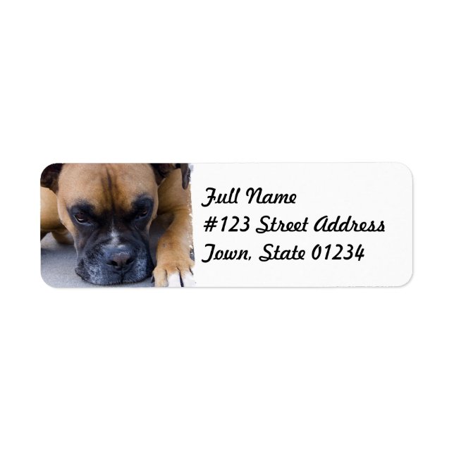 Resting Boxer Dog Mailing Label (Front)