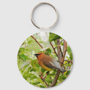 Resting Cedar Waxwing Keychain