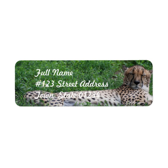 Resting Cheetah Mailing Label (Front)