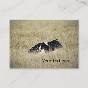Resting Cow - Business Card
