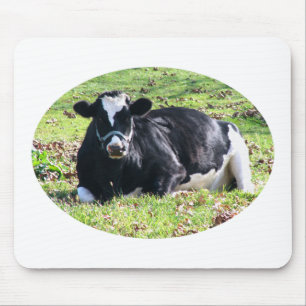 Resting Dairy Cow Circle Transparent Background Mouse Pad