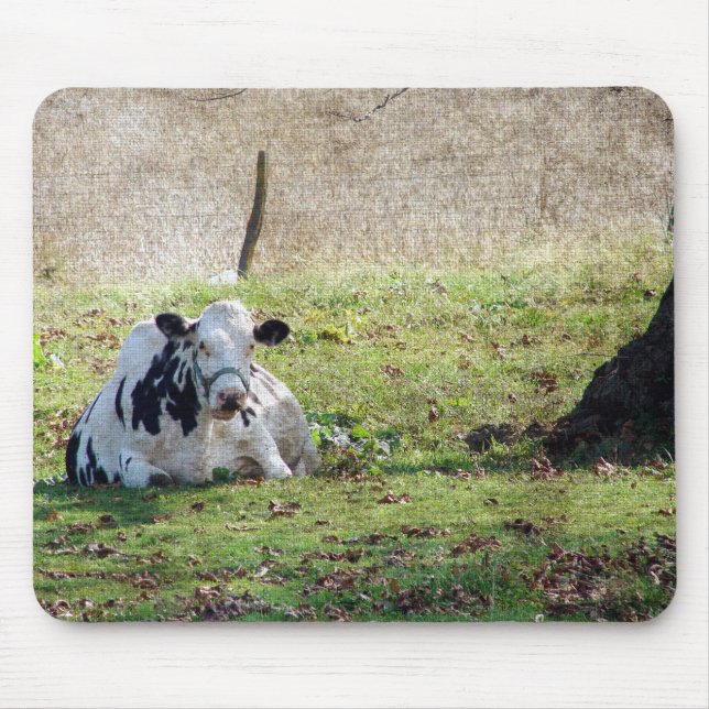 Resting Dairy Cow Mouse Pad (Front)