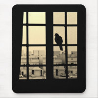 Resting Dove