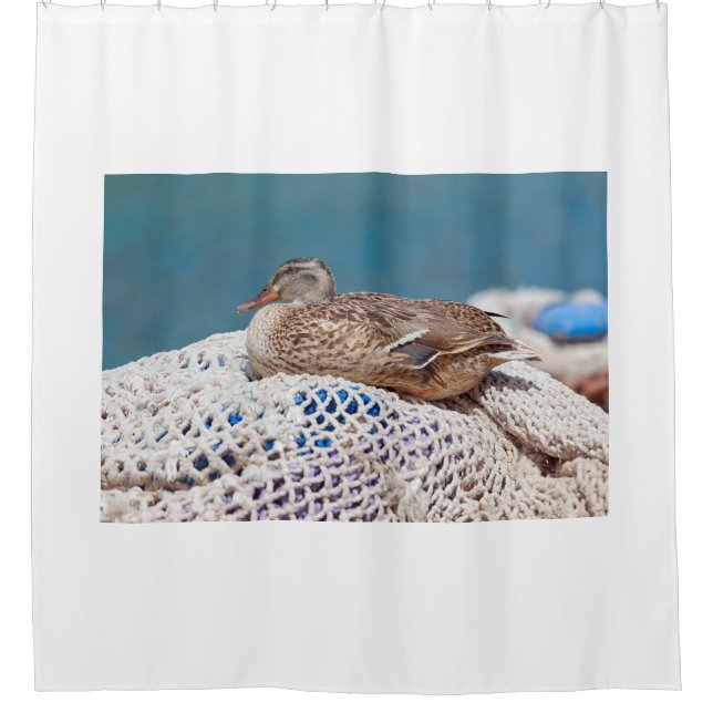 Resting Duck (Front)